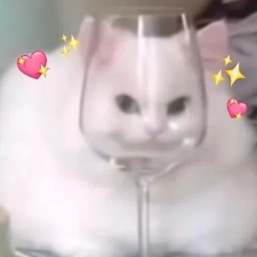 dulce