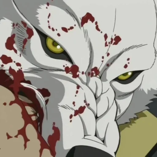 Kiba