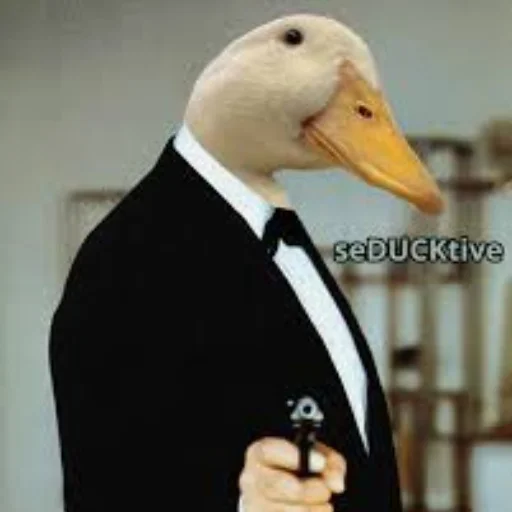 Duck