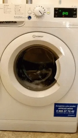 GIF